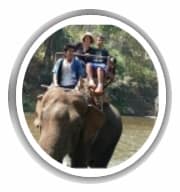 רחל מור ממליצה בחום