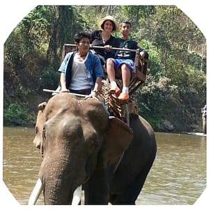 טיפול אלטרנטיבי - "שפע בריאות"