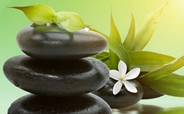 חני שפע מ"שפע בריאות"